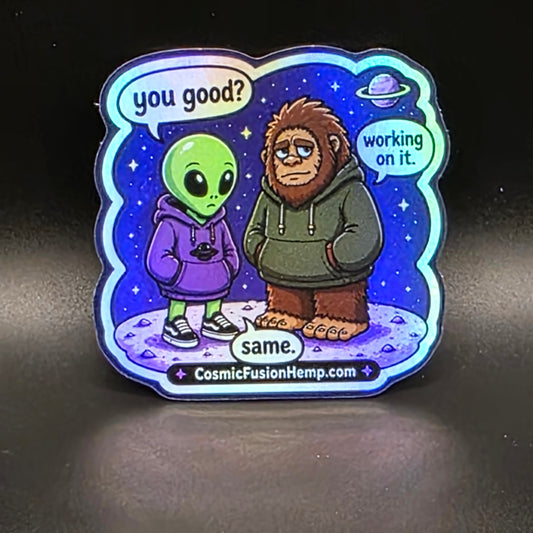 Holographic Stickers